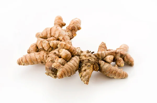 Vildgurkmeja Curcuma Aromatica Salisb Vit Bakgrund — Stockfoto