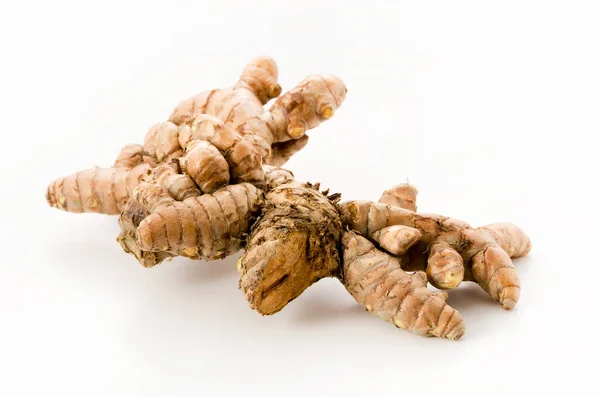 Beyaz Arkaplanda Yabani Zerdeçal Curcuma Aromatica Salisb — Stok fotoğraf