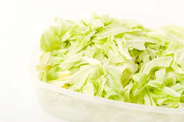 Shredded Cabbage Plastic Container — Stock Photo, Image