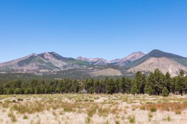 San Francisco Peaks
