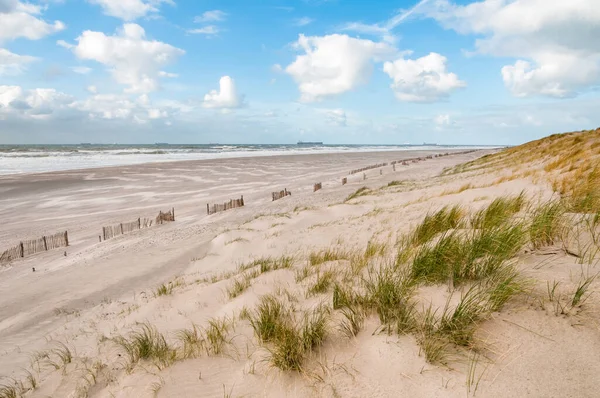 Beach North Sea Stormy Sunny Day Maaslvakte Rotterdam Netherlands Ships — Stock Photo, Image