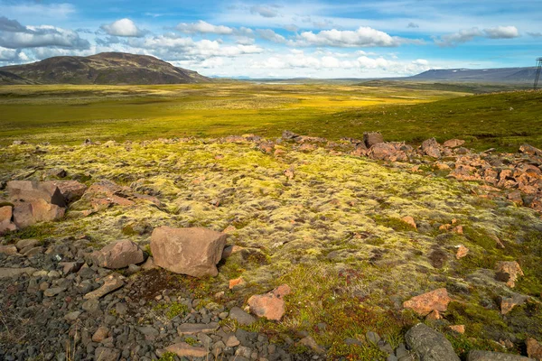 Islandský barevné a divoká krajina v létě — Stock fotografie