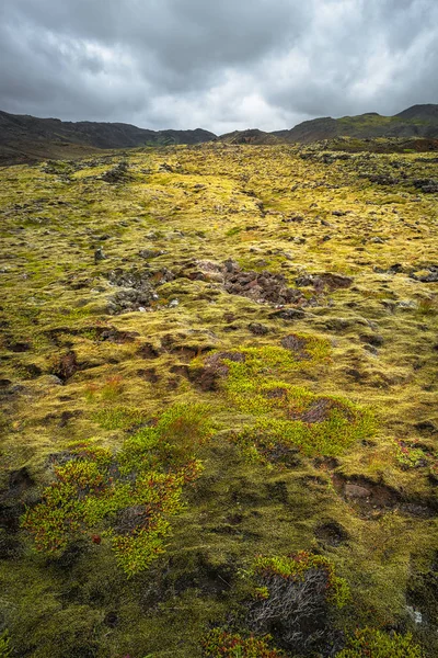 İzlanda renkli lav toprak İzlanda üzerinde yaz — Stok fotoğraf