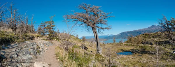 Torres del Paine National Park, Chile, Patagonia — Stock Photo, Image