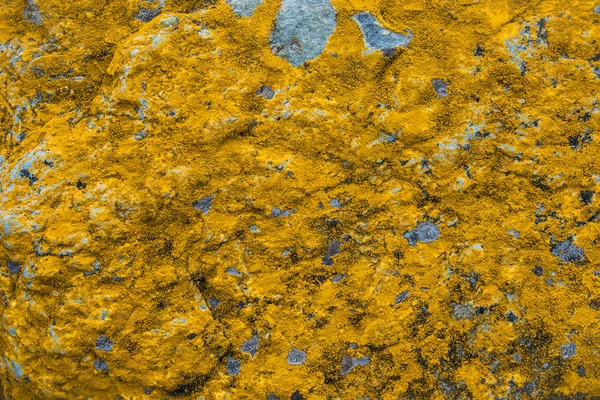 Цветные узоры на скалах в Патагонии — стоковое фото