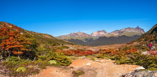 Panorámás tájat a Tierra del Fuego Nemzeti Park, Patagónia — Stock Fotó