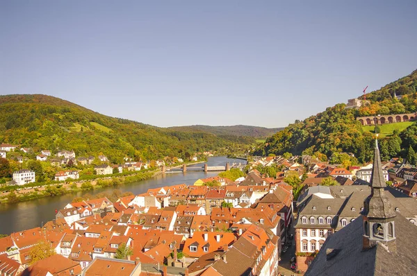 Pták zobrazit staré město Heidelberg, Německo — Stock fotografie