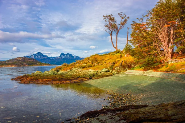 Patagonya'nın Tierra del Fuego Milli Parkı muhteşem manzara — Stok fotoğraf