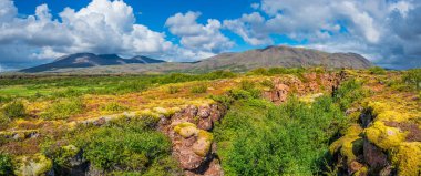 İzlanda manzara panoramik manzaralı