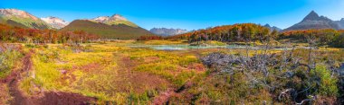 Gorgeous landscape of Patagonia's Tierra del Fuego National Park in Autumn clipart