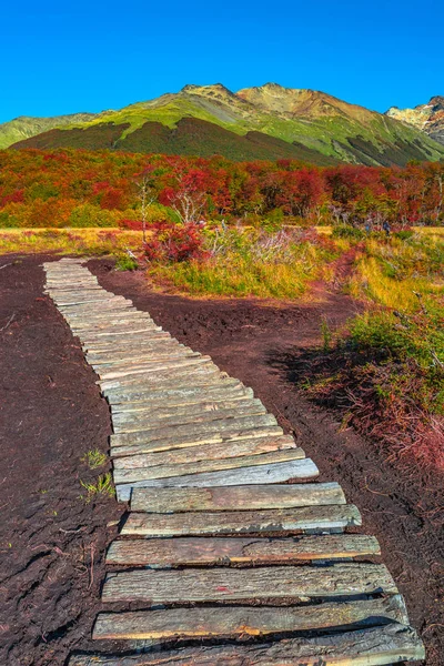 Gyönyörű táj, Patagónia Tierra del Fuego Nemzeti Park — Stock Fotó