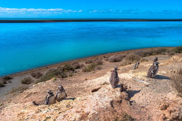 Ocean kosta landskap av halvön Valdes, Patagonien, Argentina Stockbild