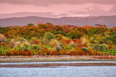 Patagonya'nın Tierra del Fuego Milli Parkı muhteşem manzara