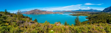 Torres del Paine Milli Parkı sonbahar, Patagonia, c ormanda
