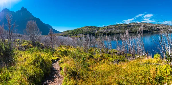 Floresta no Parque Nacional Torres del Paine no Outono, Patagônia, C — Fotografia de Stock