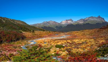Gorgeous landscape of Patagonia's Tierra del Fuego National Park clipart
