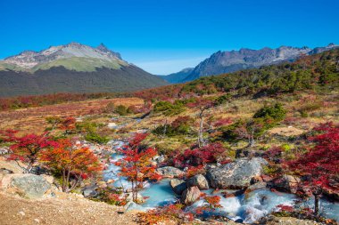 Patagonya'nın Tierra del Fuego Milli Parkı muhteşem manzara