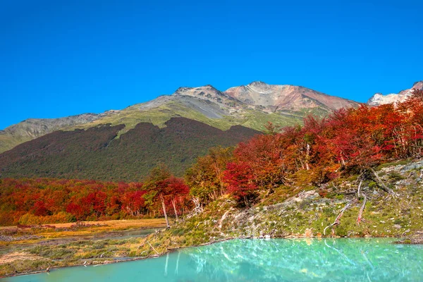 Patagonya'nın Tierra del Fuego Milli Parkı muhteşem manzara — Stok fotoğraf