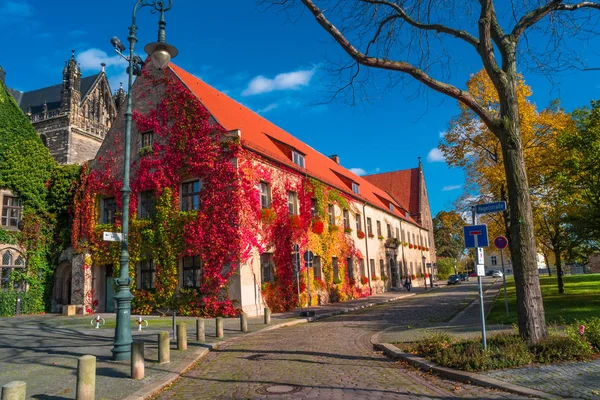 Чудовий барвисті собору міста Магдебург восени, Німеччина — стокове фото