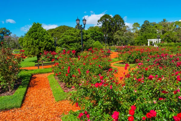 Bahçe gül Palermo bölgesinde, Buenos Aires, Arjantin