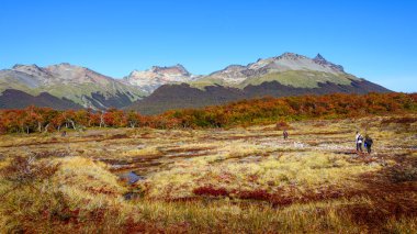 Wonderful landscape of Patagonia's Tierra del Fuego National Par clipart
