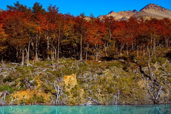 Patagonya'nın Tierra del Fuego Ulusal Par muhteşem manzara — Stok fotoğraf