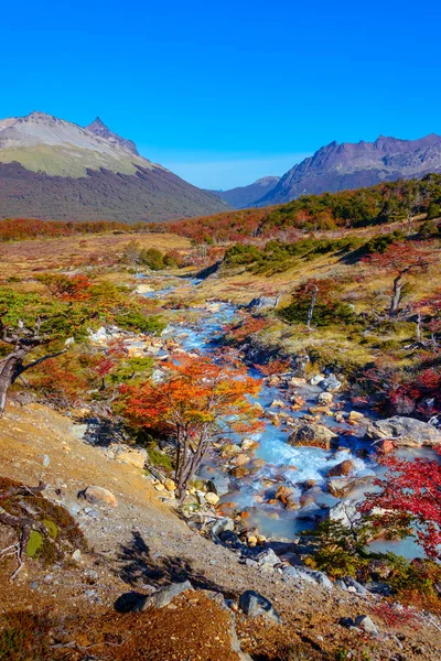 Patagonya'nın Tierra del Fuego Ulusal Par muhteşem manzara