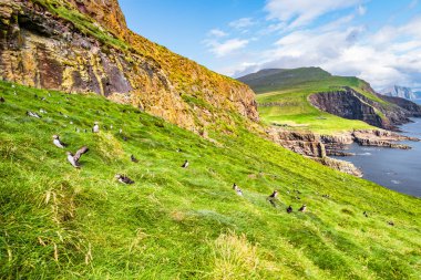 Mykines, Faroe Adaları ve Kuzey Atlantik pu manzarayı