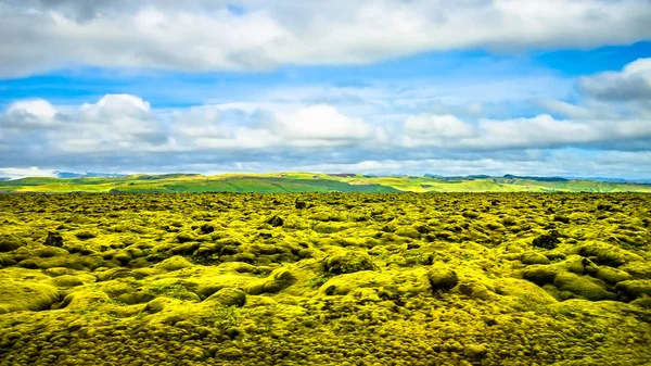 冰岛苔藓覆盖的老熔岩场全景图 — 图库照片