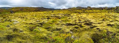 Panoramik ışıklı çim alan ve şelale Icela üzerinde