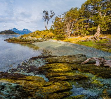 Patagonya'nın Tierra del Fuego Milli Parkı muhteşem manzara