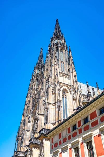 Magnifika Saint Vitus katedralen i Prag, Tjeckien — Stockfoto
