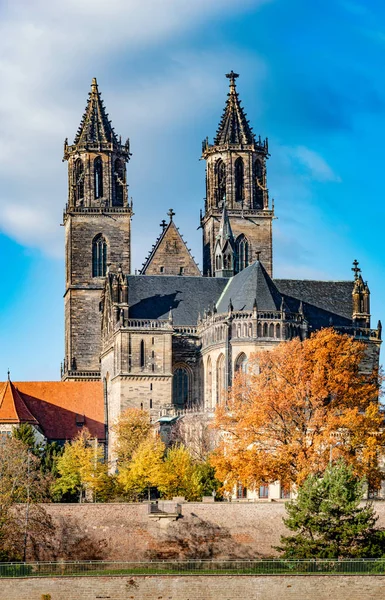 Prachtige kathedraal, Elbe rivier in gouden herfstkleuren bij dow — Stockfoto