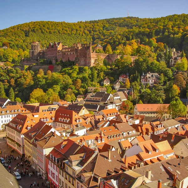 Vista sugli uccelli del centro storico di Heidelberg e dell'antico castello, Germ — Foto Stock