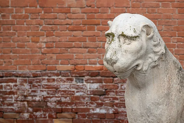 Antigua cabeza de león del Pireo veneciano cerca del Arsenal en Venecia con c — Foto de Stock