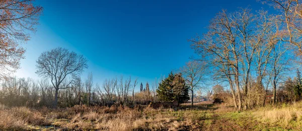 Panoramisch uitzicht op de prachtige kathedraal door bomen in de par — Stockfoto