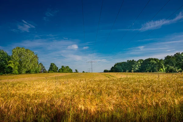 Panoramiczny widok na piękny zielony i żółty krajobraz gospodarstwa wi — Zdjęcie stockowe