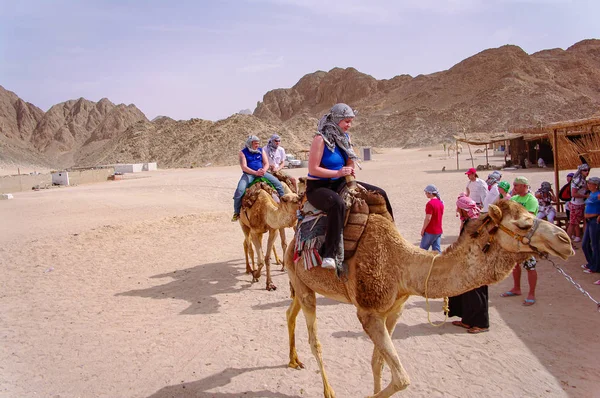 Camelback jízda turistů v egyptské Saharské poušti při západu slunce — Stock fotografie