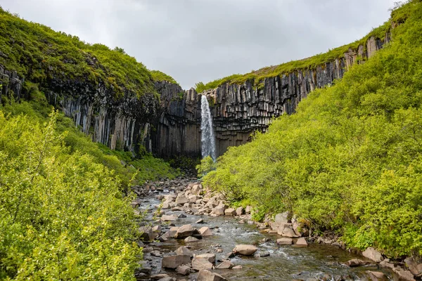 Υπέροχος και υψηλός καταρράκτης Svartifoss με μαύρη στήλη βασάλτη — Φωτογραφία Αρχείου