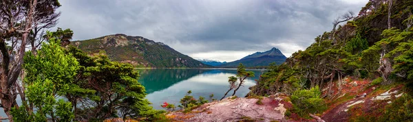 Panoramic view over magical austral forest and turquoise lagoons — Stok fotoğraf