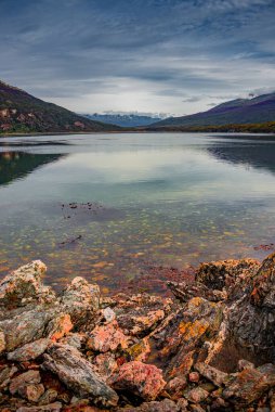 Magical austral Magellanic subpolar forests and turquoise lagoon