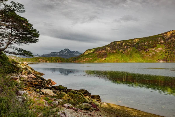 Magical austral Magellanic subpolar forests and turquoise lagoon — Stok fotoğraf