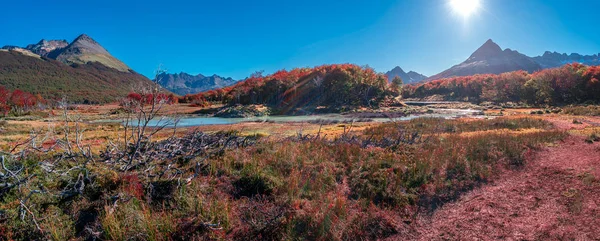 Panoramic view over magical austral forest, peatbogs and high mo — Stok fotoğraf