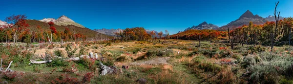 Panoramiczny widok na magiczny las australijski, torfowiska i wysokie mo — Zdjęcie stockowe