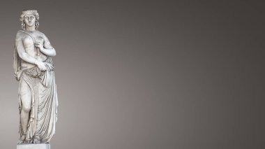Renaissance Dönemi 'nin güzel üstsüz Romalı kadın heykeli. Gradyan gri arkaplan ve metin alanı için kopyalama alanı.