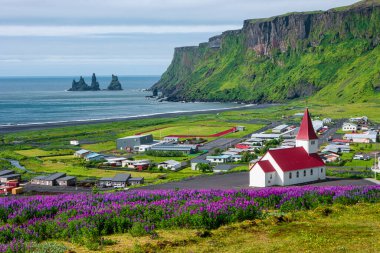 Reynisdrangar bazalt yığınları, Vik yakınlarındaki siyah kumsal ve mor lupin çiçekleri ve yalnız kilise, Güney İzlanda