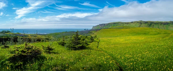 Utsikt Över Basalt Stackar Reynisdrangar Svart Sandstrand Nära Vik Och — Stockfoto