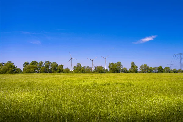 Beautiful Farm Landscape Wind Turbines Produce Green Energy Electrical Power — Stock Photo, Image