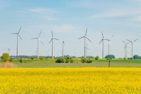Beautiful Farm Landscape Rasp Yellow Blossom Wind Turbines Produce Green — Stock Photo, Image