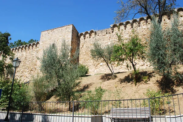 San Quirico 墙 — 图库照片
